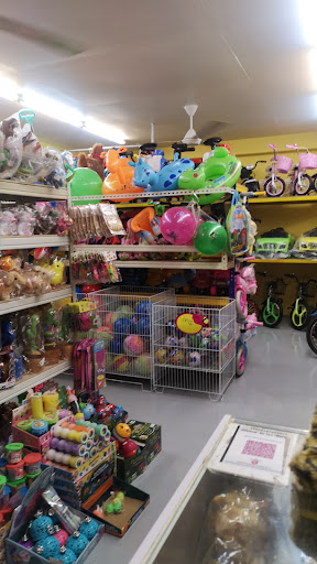 Pizs Toys & Bicycle Pizs Toys & Bicycle