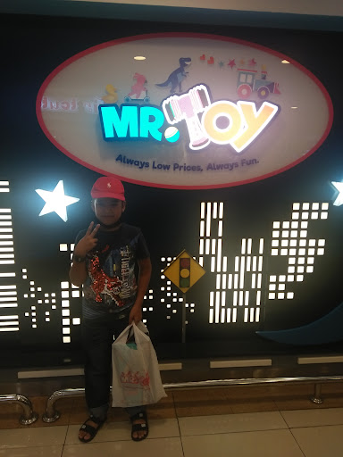 MR.TOY MR.TOY