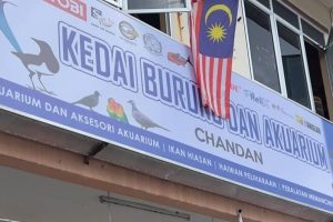 JOM KEDAI HAIWAN DAN AKUARIUM