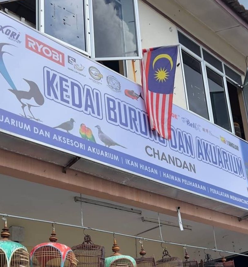 jom kedai haiwan dan akuarium