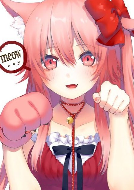 neko neko nyaa 1 neko neko nyaa
