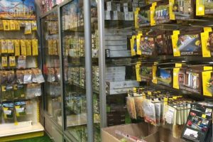 Panduan Terbaik Kedai Mainan di Cyberjaya, Malaysia untuk Setiap Budget