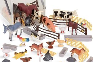 TERRA FUN Collection