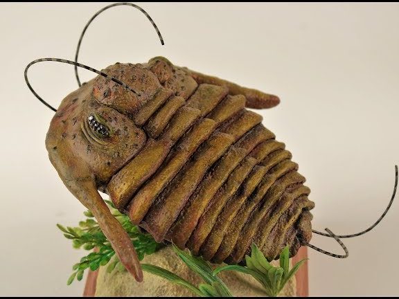 trilobite hobby