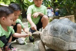 WINN KIDS GLOBAL SERI KEMBANGAN BRANCH