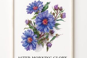 Aster Hobby Desire