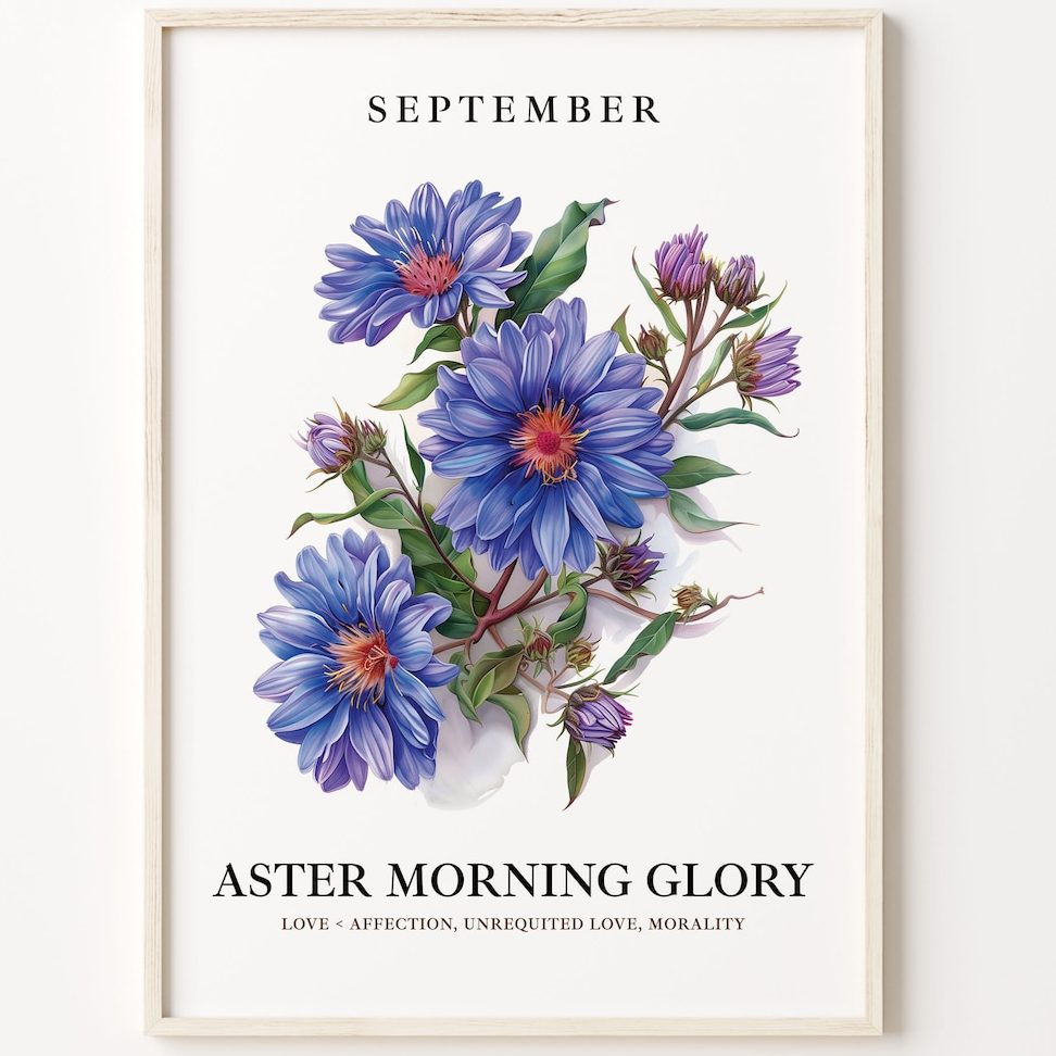 aster hobby desire