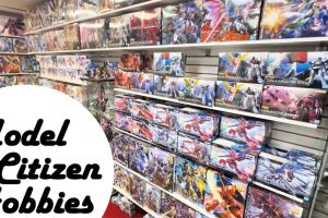 CEToy Hobbies Collection