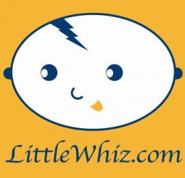 littlewhiz com